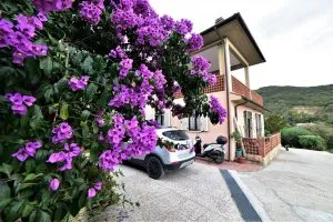 Foto angolare casa vacanza il pastore tedesco elba