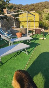 Giardino casa vacanza il pastore tedesco04