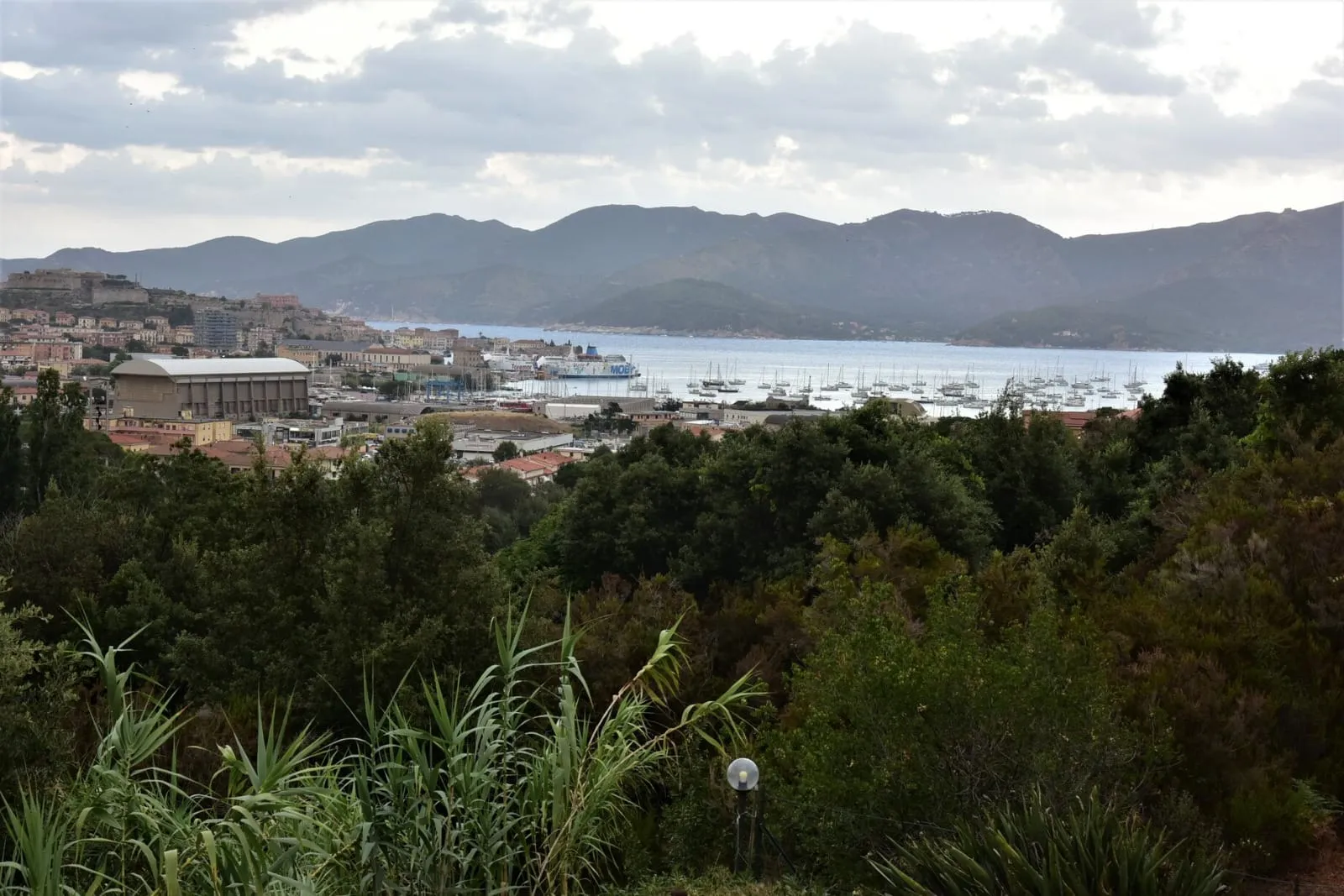 Panorama Casa vacanza il pastore tedesco isola d'Elba Portoferraio