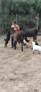 I nostri animali 18