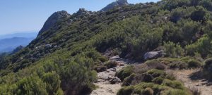 Treekin-isola-d-elba (15)