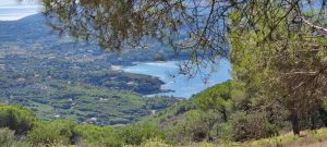 Treekin-isola-d-elba (16)