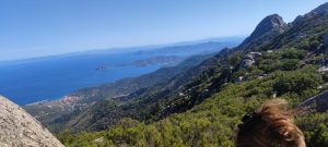 Treekin-isola-d-elba (17)