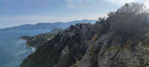 Treekin-isola-d-elba (20)