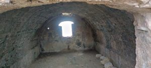 Treekin-isola-d-elba (21)