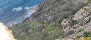 Treekin-isola-d-elba (22)
