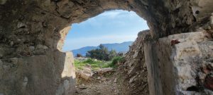 Treekin-isola-d-elba (23)