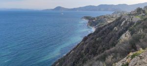 Treekin-isola-d-elba (24)
