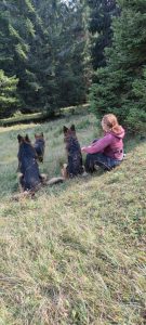 Treekin-isola-d-elba (25)