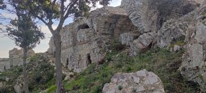 Treekin-isola-d-elba (26)