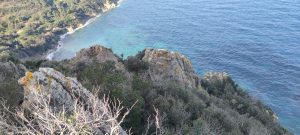 Treekin-isola-d-elba (27)