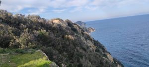 Treekin-isola-d-elba (33)