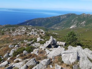 Treekin-isola-d-elba (37)