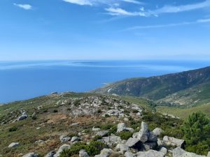 Treekin-isola-d-elba (38)