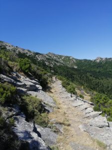 Treekin-isola-d-elba (40)