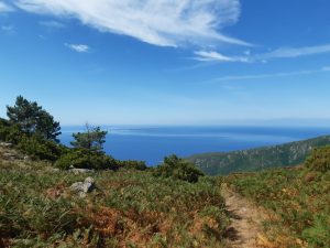 Treekin-isola-d-elba (41)