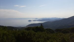 Treekin-isola-d-elba (44)