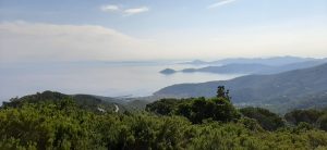 Treekin-isola-d-elba (45)