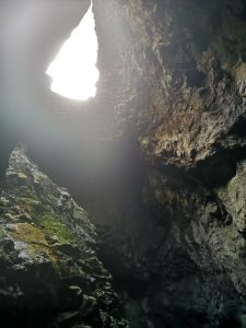 Treekin-isola-d-elba (46)