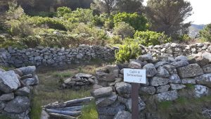 Treekin-isola-d-elba (51)