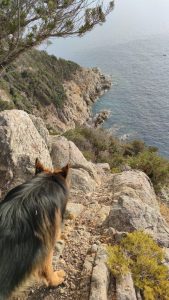 Treekin-isola-d-elba (56)
