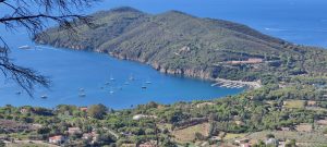 Treekin-isola-d-elba (58)