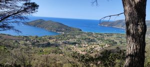 Treekin-isola-d-elba (60)
