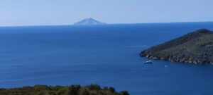 Treekin-isola-d-elba (61)