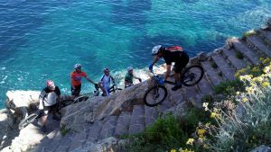 Treekin-isola-d-elba (62)