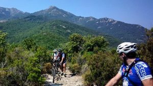 Treekin-isola-d-elba (63)