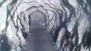 Treekin-isola-d-elba (64)