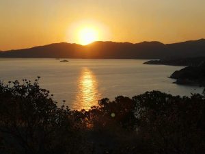 Treekin-isola-d-elba (66)