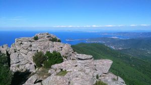 Treekin-isola-d-elba (67)