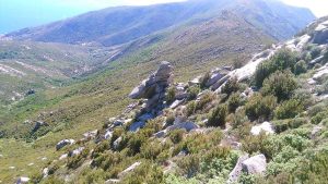 Treekin-isola-d-elba (68)
