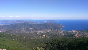 Treekin-isola-d-elba (69)