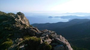 Treekin-isola-d-elba (70)