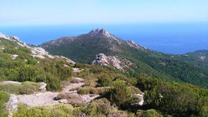 Treekin-isola-d-elba (71)