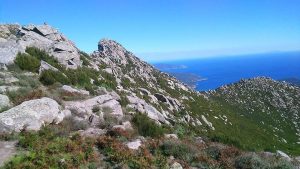 Treekin-isola-d-elba (72)