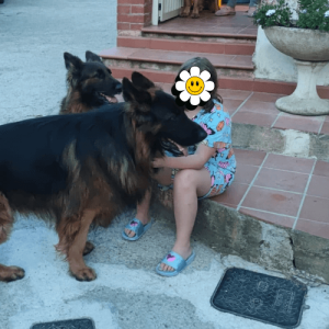 Nuovi baby amici - casa vacanza il pastore tedesco elba 1