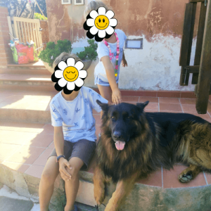 Nuovi baby amici - casa vacanza il pastore tedesco elba 2