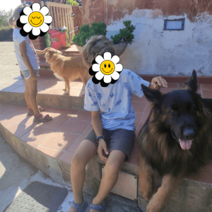 Nuovi baby amici - casa vacanza il pastore tedesco elba 3