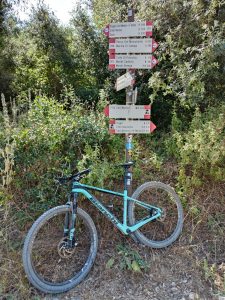 Treekin-isola-d-elba (69)