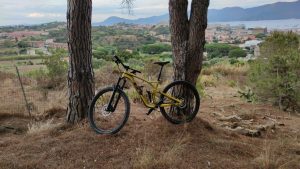 Treekin-isola-d-elba (71)