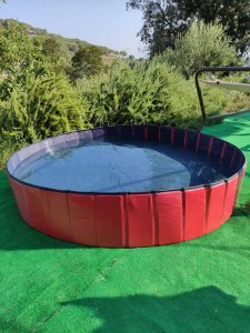 Piscinetta per far rinfrescare i nostri amici a 4 zampe - casa vacanza il pastore tedesco Elba